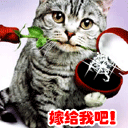 嫁给我吧