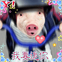 我要来追你