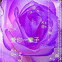 我爱你一辈子