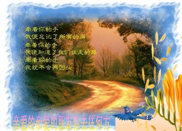 亲爱的亲爱的你去往何方