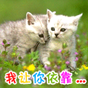 我让你依靠