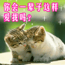 你会一辈子这样爱我吗