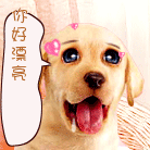 你好漂亮