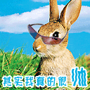 其实我真的很帅