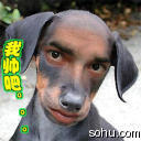 我帅吧
