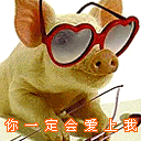 你一定会爱上我