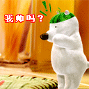 我帅吗？想吐