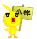 小样