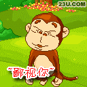 小猴鄙视你