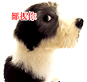连小狗都鄙视你