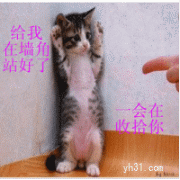 给我在墙角让好了