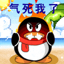 气死我了