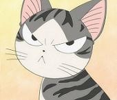 非常生气的猫猫
