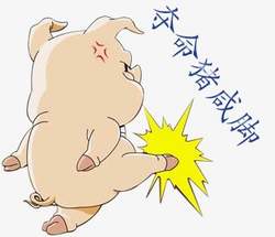 夺命猪咸脚