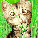 小猫打青蛙