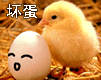 坏蛋，不要你了