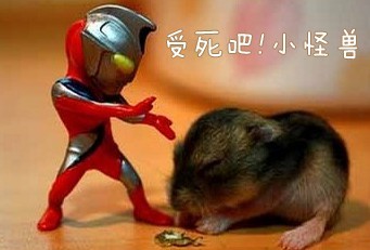 小怪兽，快来受死吧