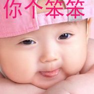 你个笨笨