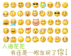 虽然人海茫茫，我还是一眼就认出了你