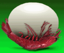 正宗虾扯蛋