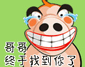 哥哥，我终于找到你了