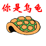 你就是一只乌龟