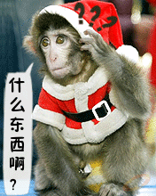 这是什么东西啊