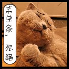 来单挑呀，死猪