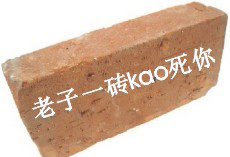 老子一砖拍死你