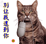 别让我逮到你