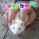 小样，看你还往哪里跑