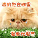 孤单的光棍节