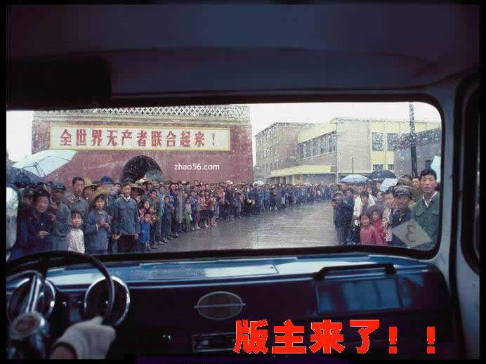 版主来了