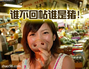 谁不回贴谁是猪