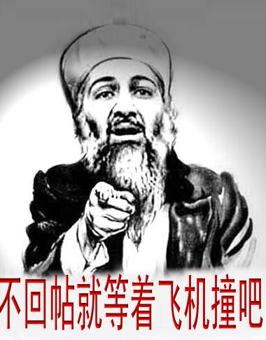 不回贴就等飞机撞吧