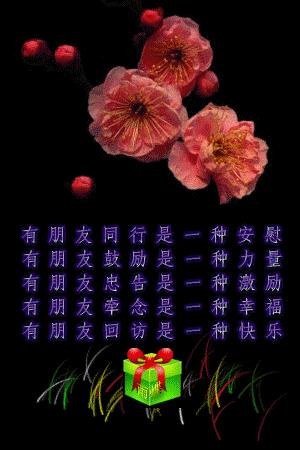 有朋友回访是一种快乐