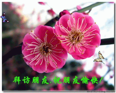 拜访朋友，祝朋友快乐