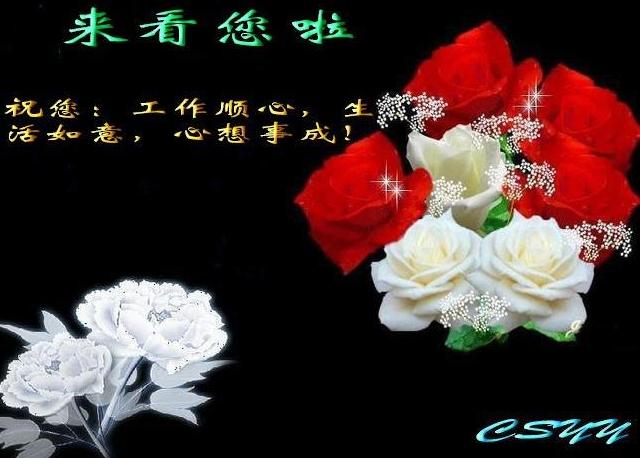我来看你啦