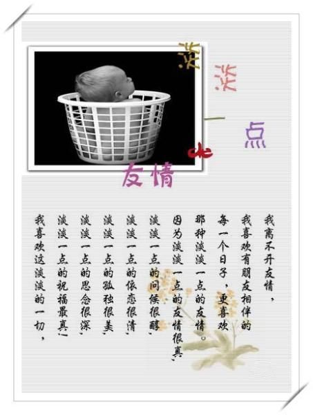 淡淡的友情