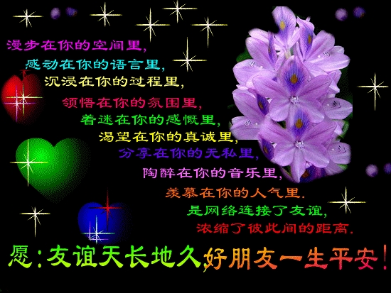 愿友谊天长地久