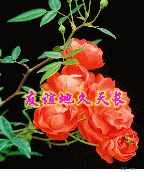 好朋友终身难忘