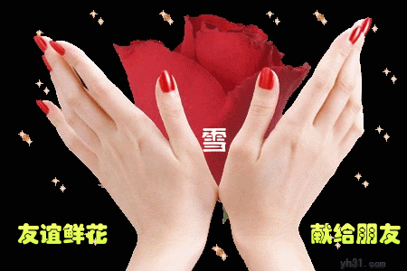 愿友谊鲜花献给你