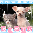 我们是朋友