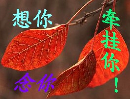 想你，念你，牵挂你