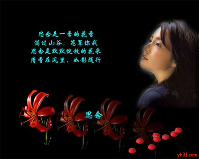 思念是一季的花香