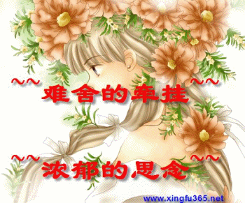 难舍的牵挂