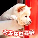 今天你过节啦