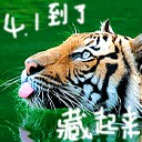 4月1日到了，把自己藏起来