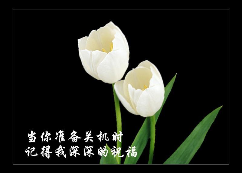 关机时，记得我的祝福