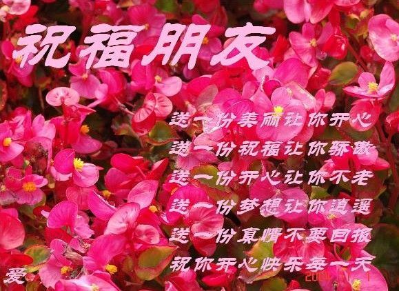 祝福朋友